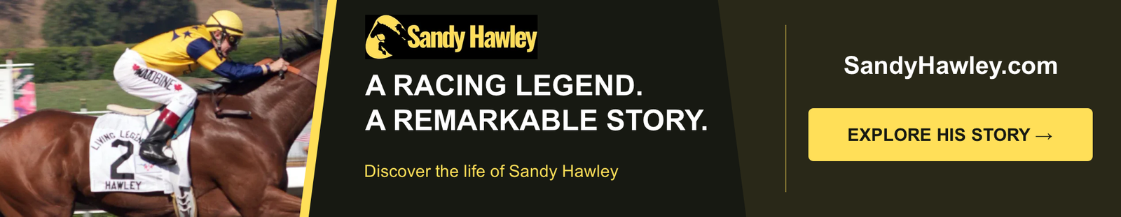 Home Sandy Hawley — Wide 1983 × 385